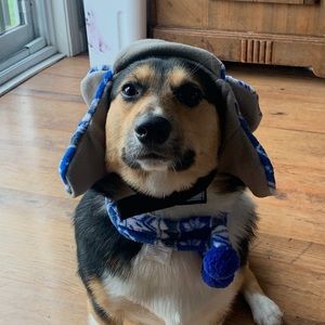 Meet your Posher, Chase